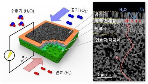 박막 프로톤 세라믹 연료전지 설명 그림멀티스케일 기반 박막 PCFC의 미세구조 모식도(왼쪽)와 전자현미경 이미지 [한국과학기술연구원 제공]