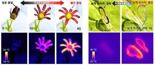 개화하면서 색이 발현되는 생체모방 꽃(왼쪽)과 날갯짓하며 색이 변하는 생체모방 나비 로봇. 실제 생체 움직임뿐만 아니라 색 변화도 모사할 수 있는 새로운 소프트 로보틱스 기술을 구현했다. [한국연구재단 제공=연합뉴스]