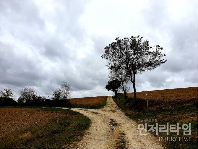 사진9: 순례, 갈림길에서 어떤 길을 선택할까