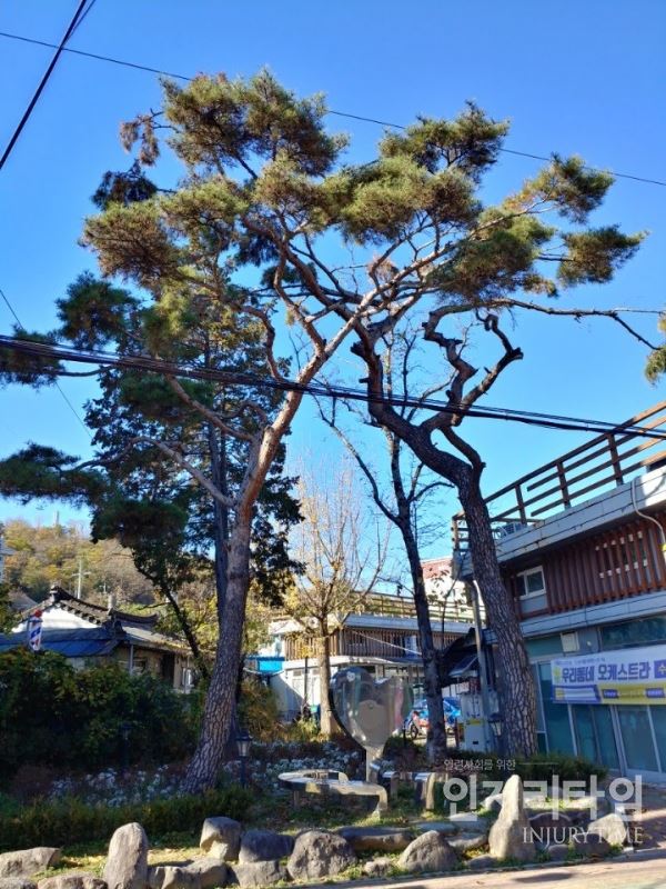 하동 전통시장의 '그 카페'. 사진=조송원