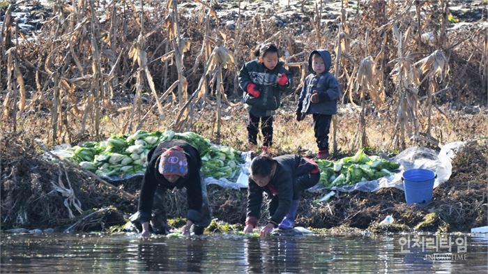 시린 강물에 김장배추를 씻는 북한 모녀.