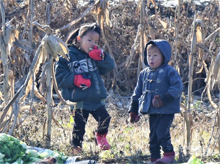 엄마와 언니(누나)가 김장배추를 씻는 동안 고구마를 베어무는 아이들.