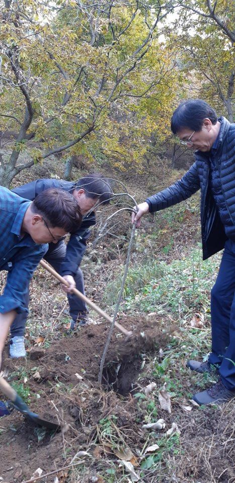 경남 함양에 귀촌한 율전 정성기 농장에서 대학시절 문학회 친구들이 회화나무를 식수하고 있다.