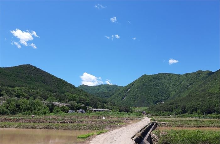 순정의 샘이 솟는 순정마을 뒤쪽은 밝얼산과 오두산