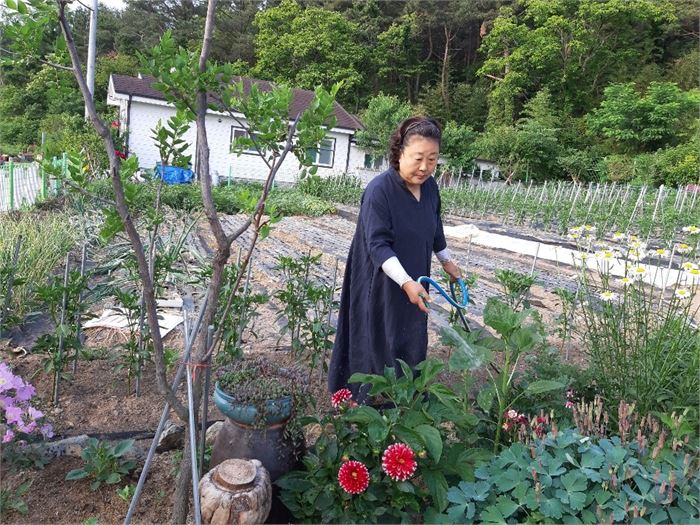 달리아꽃밭에서 아내 파우스티나)