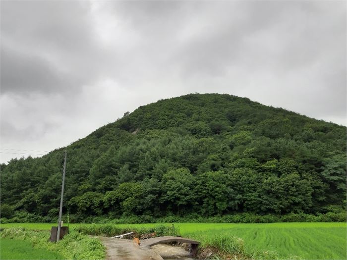 천전뜰에서 본 상피바위(7부 능선 숲이 움푹 패인 곳) [사진=이득수]