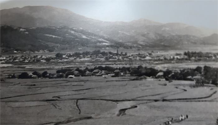 그와 내가 자라난 1950년대의 바든(생가)마을, 들 가운데를 가로지르고 성묘를 가는 사람들