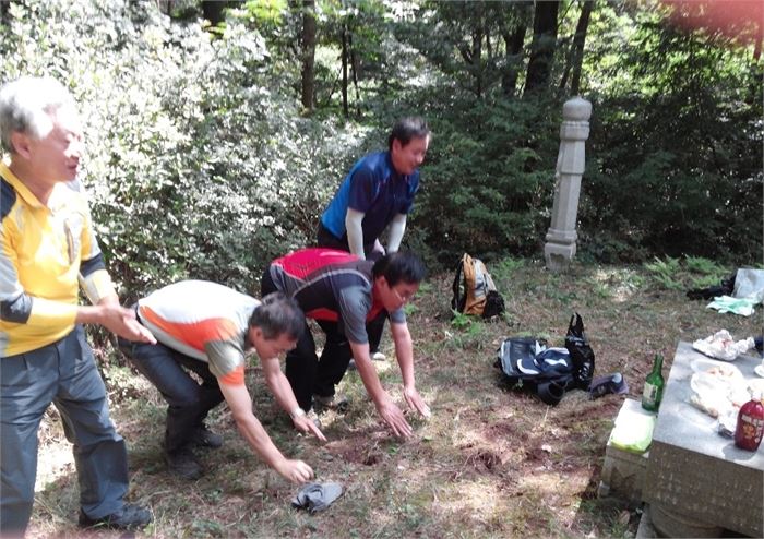 언양 봉꼴산(부로산)에 등산을 갔던 직장동료들이 고맙게 우리할아버지 산소에 절을 했다.