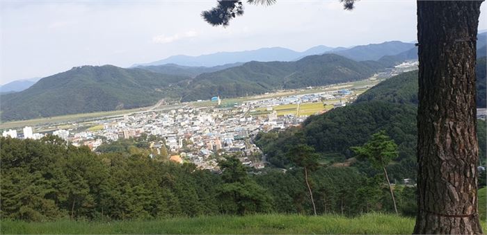 주산 중턱에서 내려다 본 대가야읍