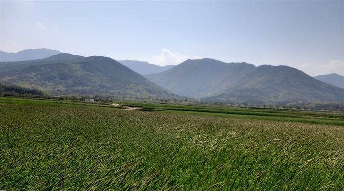 사진1.여름에 찍은 신불산의 태산준령, 가운데 움푹한 부분, 장재골로 올라가면 신불재가 된다