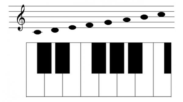 12개 반음이 평균율로 조율된 피아노 건반
