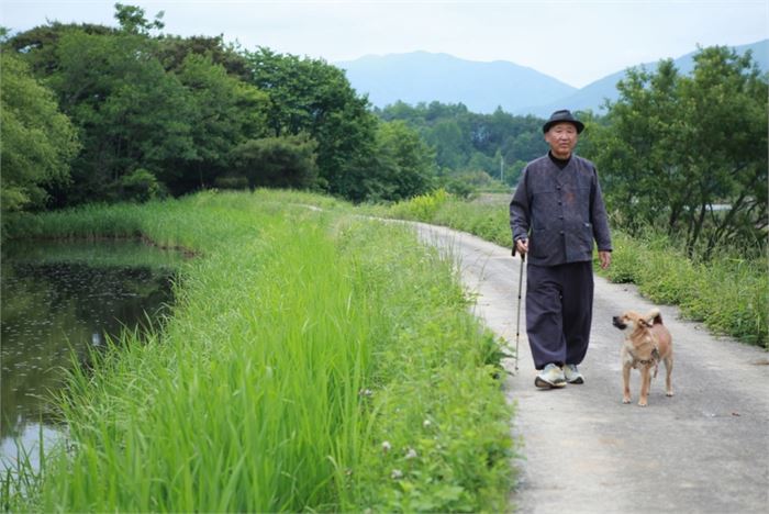 명촌별서 뒤 칼치못둑에서 애견 마초와 산책하는 필자