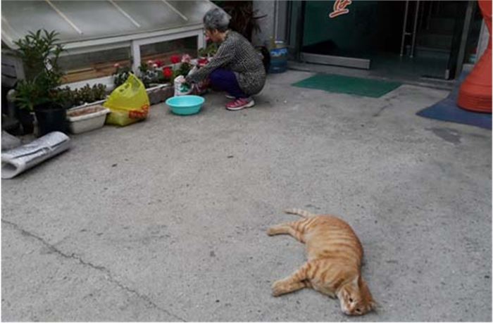 화단 공사 중인 울엄마와 광땡이