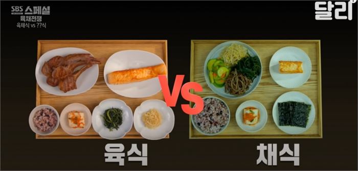 달리 [SBS 교양 공식채널