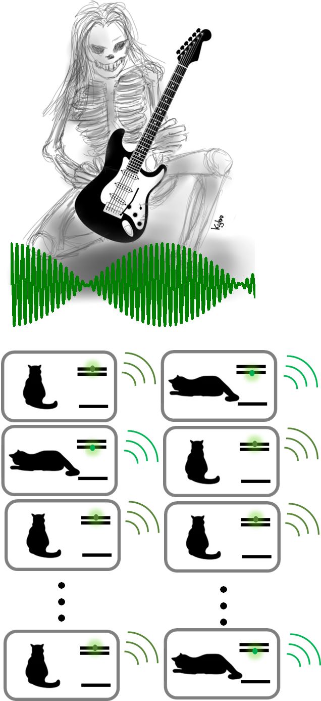 전자의 확률적 에너지 선택에 따라 고양이의 삶과 죽음이 결정되고 미세하게 다른 음을 내는 상자를 콘서트 관객처럼 아주 많이 준비한 후, 동시에 열면 삶과 죽음의 음이 합쳐져 울렁거리는 ‘양자 맥놀이’를 들을 수 있다.