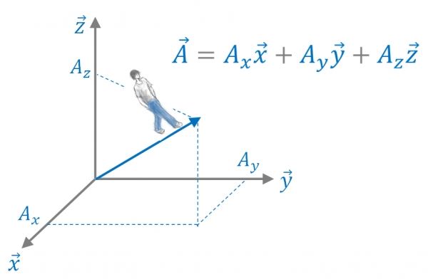 벡터는 직교좌표계를 구성하는 각각의 방향에 대한 투사를 통해 해당성분을 얻어낸다.