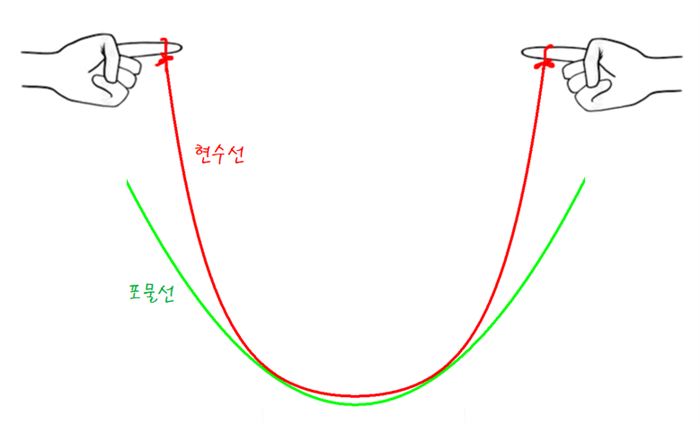 현수선은 포물선과 다른 모습의 곡선을 지니고 있다.