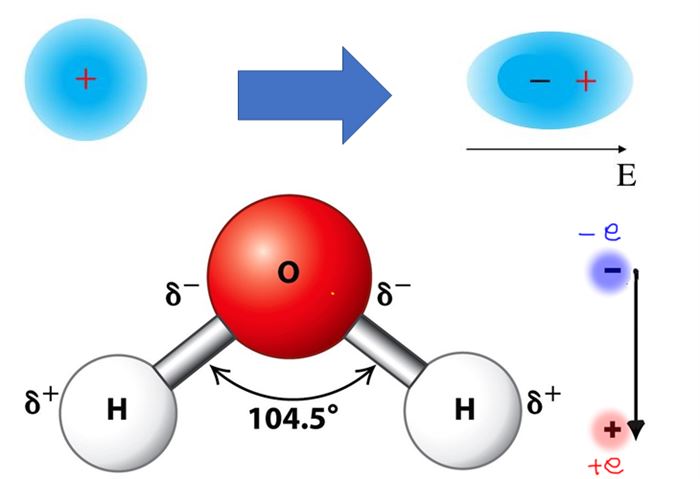 (위)양과 음의 위치가 동일한 원자에 외부전기장을 가하면 양과 음의 달라지면서 전기 쌍극자가 유발된다.(아래) 물분자는 양과 음의 중심이 달라 구조적으로 전기쌍극자가 된다.