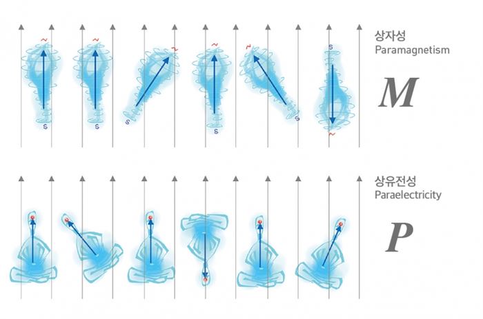 물질 속에 존재하는 많은 수의 전기쌍극자와 자기쌍극자들이 외부의 바람 같은 전기장과 자기장의 바람에 대해 얼마나 많은 수가 편향되어 있는지에 따라 자성(M)과 분극(P)이라는 집단적 극성이 드러난다.