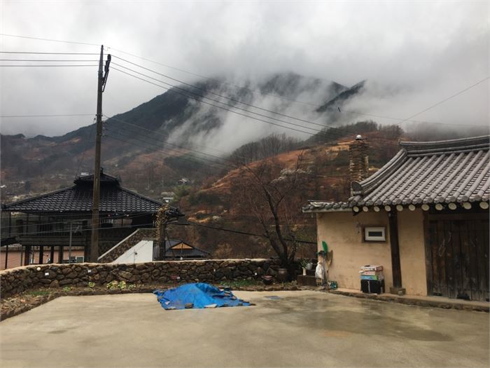 집 앞의 황령산 등성이에 산안개가 덮여 한 폭의 수묵화 같다. 사진=조해훈