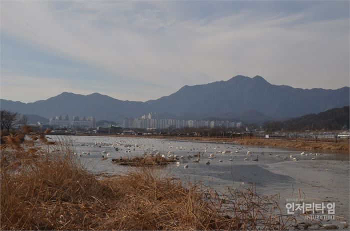 렌즈30-2. 샛강 저편에는 금오산이 늠름하다