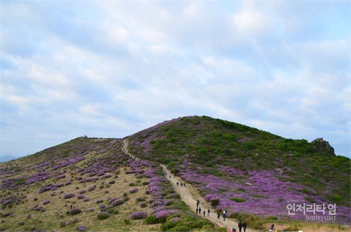 렌즈38-4. 황매산 쪽에서 바라보는 철쭉 구릉,