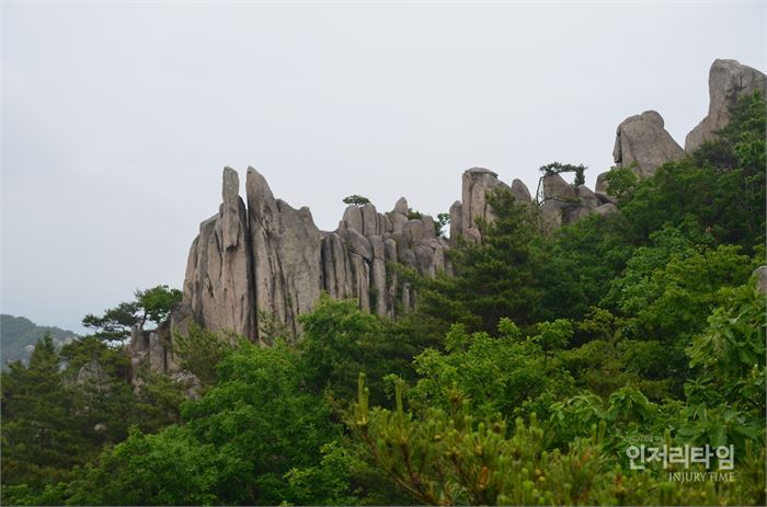 바위 능선을 이루고 있다