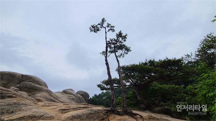 추사 김정희의 세한도를 닮았다